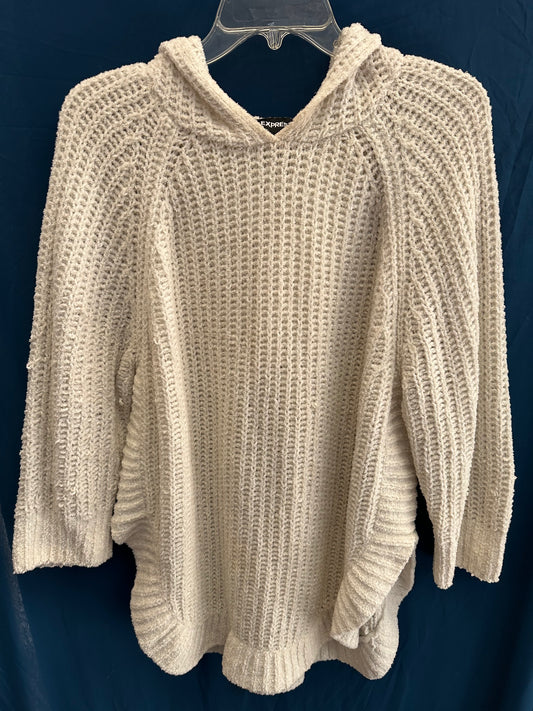 Express Sweater Hoodie