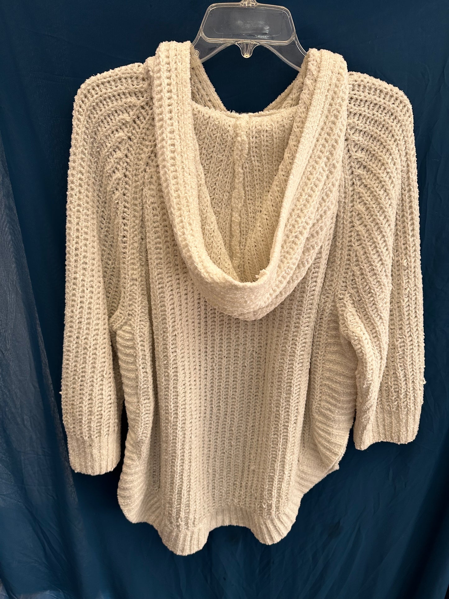 Express Sweater Hoodie